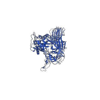 30999_7e7d_A_v1-1
Cryo-EM structure of the SARS-CoV-2 wild-type S-Trimer from a subunit vaccine candidate
