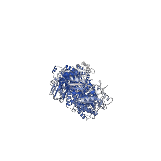 31000_7e7i_A_v1-1
Cryo-EM structure of human ABCA4 in the apo state