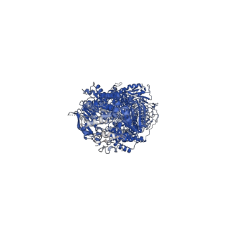 31002_7e7q_A_v1-1
Cryo-EM structure of human ABCA4 in ATP-bound state