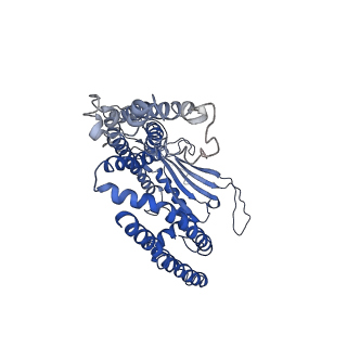 9000_6e7p_D_v1-0
cryo-EM structure of human TRPML1 with PI35P2