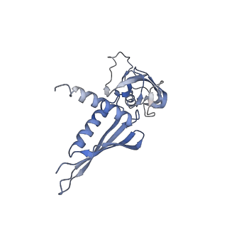 27942_8e82_A_v1-1
Mycobacterium tuberculosis RNAP elongation complex with NusG transcription factor
