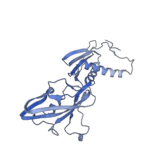 27942_8e82_B_v1-1
Mycobacterium tuberculosis RNAP elongation complex with NusG transcription factor
