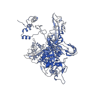 27942_8e82_C_v1-1
Mycobacterium tuberculosis RNAP elongation complex with NusG transcription factor