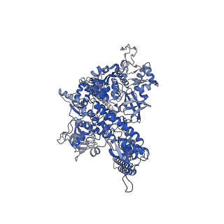 27942_8e82_D_v1-1
Mycobacterium tuberculosis RNAP elongation complex with NusG transcription factor