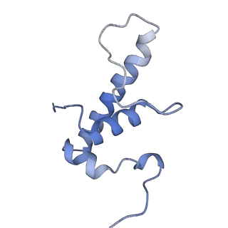 27942_8e82_E_v1-1
Mycobacterium tuberculosis RNAP elongation complex with NusG transcription factor