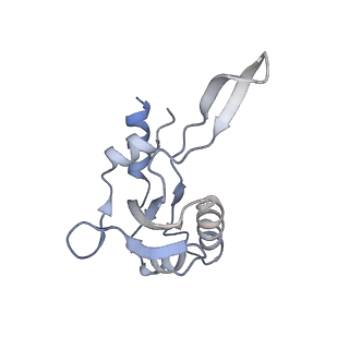 27942_8e82_Z_v1-1
Mycobacterium tuberculosis RNAP elongation complex with NusG transcription factor
