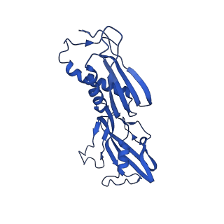 27944_8e8m_B_v1-1
Mycobacterium tuberculosis RNAP paused elongation complex