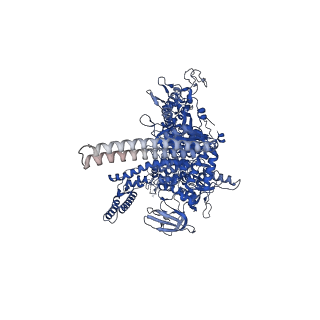 27944_8e8m_D_v1-1
Mycobacterium tuberculosis RNAP paused elongation complex