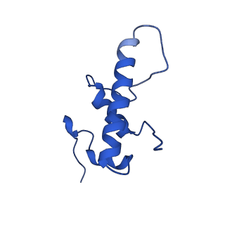 27944_8e8m_E_v1-1
Mycobacterium tuberculosis RNAP paused elongation complex