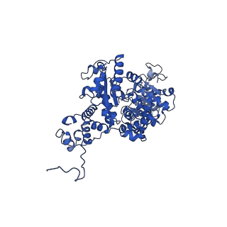 27945_8e8o_A_v1-0
Cryo-EM structure of human ME3 in the presence of citrate