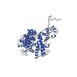 27945_8e8o_B_v1-0
Cryo-EM structure of human ME3 in the presence of citrate