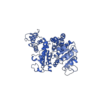 27945_8e8o_C_v1-0
Cryo-EM structure of human ME3 in the presence of citrate