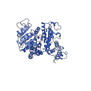27945_8e8o_D_v1-0
Cryo-EM structure of human ME3 in the presence of citrate
