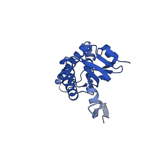27946_8e8q_N_v1-0
Cryo-EM structure of substrate-free DNClpX.ClpP