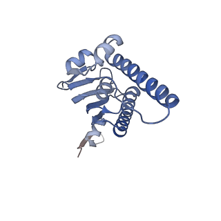 27946_8e8q_n_v1-0
Cryo-EM structure of substrate-free DNClpX.ClpP