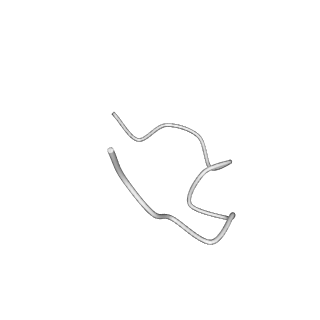 31006_7e80_1_v1-3
Cryo-EM structure of the flagellar rod with hook and export apparatus from Salmonella