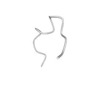 31006_7e80_2_v1-3
Cryo-EM structure of the flagellar rod with hook and export apparatus from Salmonella