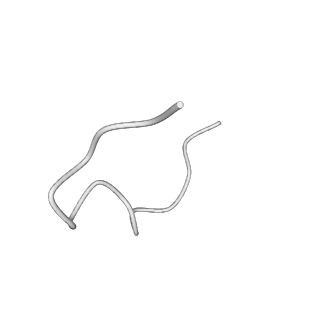 31006_7e80_4_v1-3
Cryo-EM structure of the flagellar rod with hook and export apparatus from Salmonella