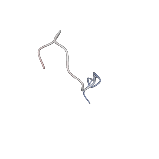 31006_7e80_5_v1-2
Cryo-EM structure of the flagellar rod with hook and export apparatus from Salmonella