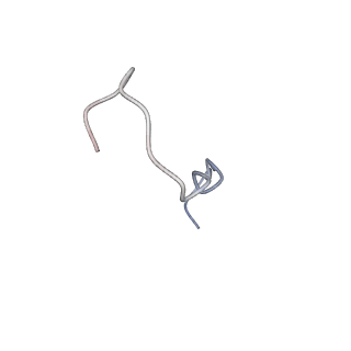 31006_7e80_5_v1-3
Cryo-EM structure of the flagellar rod with hook and export apparatus from Salmonella