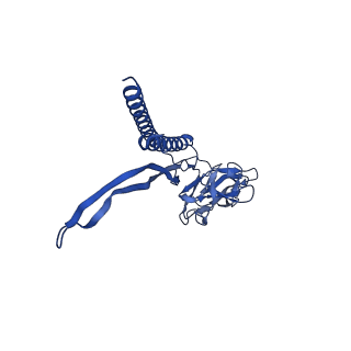 31006_7e80_A_v1-2
Cryo-EM structure of the flagellar rod with hook and export apparatus from Salmonella