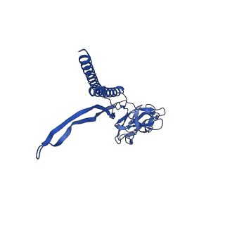 31006_7e80_A_v1-3
Cryo-EM structure of the flagellar rod with hook and export apparatus from Salmonella