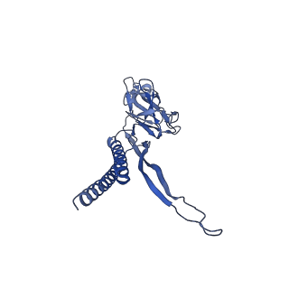 31006_7e80_B_v1-2
Cryo-EM structure of the flagellar rod with hook and export apparatus from Salmonella