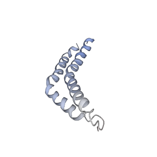 31006_7e80_CA_v1-2
Cryo-EM structure of the flagellar rod with hook and export apparatus from Salmonella