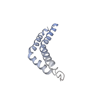 31006_7e80_CA_v1-3
Cryo-EM structure of the flagellar rod with hook and export apparatus from Salmonella