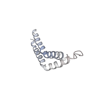 31006_7e80_CB_v1-2
Cryo-EM structure of the flagellar rod with hook and export apparatus from Salmonella