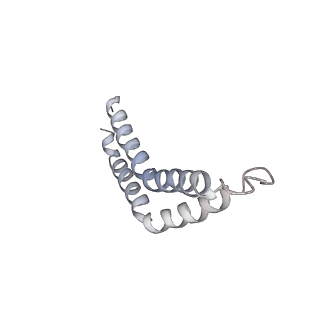 31006_7e80_CB_v1-3
Cryo-EM structure of the flagellar rod with hook and export apparatus from Salmonella