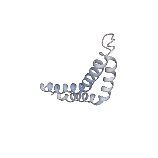 31006_7e80_CC_v1-2
Cryo-EM structure of the flagellar rod with hook and export apparatus from Salmonella