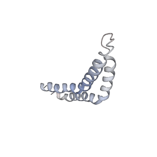 31006_7e80_CC_v1-3
Cryo-EM structure of the flagellar rod with hook and export apparatus from Salmonella