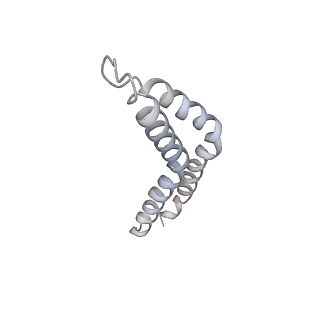 31006_7e80_CD_v1-2
Cryo-EM structure of the flagellar rod with hook and export apparatus from Salmonella