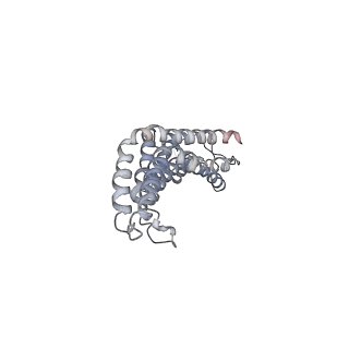 31006_7e80_CE_v1-2
Cryo-EM structure of the flagellar rod with hook and export apparatus from Salmonella