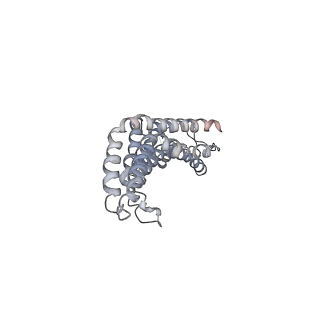 31006_7e80_CE_v1-3
Cryo-EM structure of the flagellar rod with hook and export apparatus from Salmonella