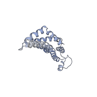 31006_7e80_CF_v1-2
Cryo-EM structure of the flagellar rod with hook and export apparatus from Salmonella