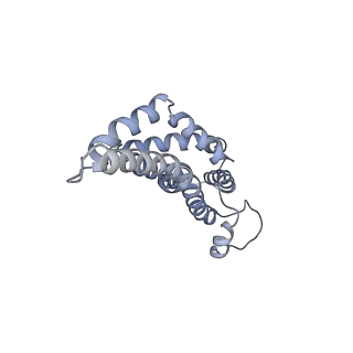 31006_7e80_CF_v1-3
Cryo-EM structure of the flagellar rod with hook and export apparatus from Salmonella