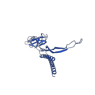 31006_7e80_C_v1-2
Cryo-EM structure of the flagellar rod with hook and export apparatus from Salmonella