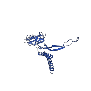 31006_7e80_C_v1-3
Cryo-EM structure of the flagellar rod with hook and export apparatus from Salmonella