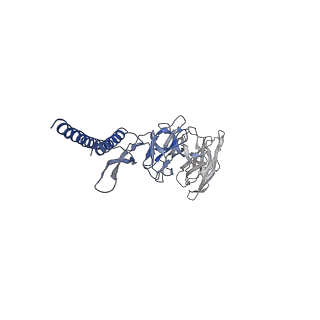 31006_7e80_DA_v1-2
Cryo-EM structure of the flagellar rod with hook and export apparatus from Salmonella