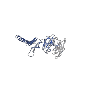 31006_7e80_DA_v1-3
Cryo-EM structure of the flagellar rod with hook and export apparatus from Salmonella