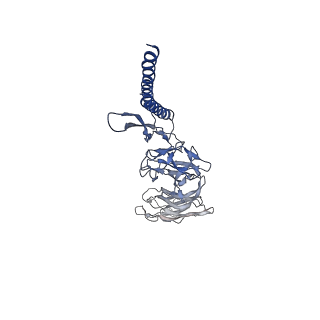 31006_7e80_DB_v1-3
Cryo-EM structure of the flagellar rod with hook and export apparatus from Salmonella