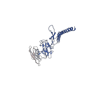 31006_7e80_DC_v1-3
Cryo-EM structure of the flagellar rod with hook and export apparatus from Salmonella