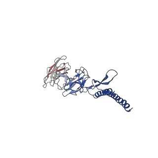 31006_7e80_DD_v1-2
Cryo-EM structure of the flagellar rod with hook and export apparatus from Salmonella