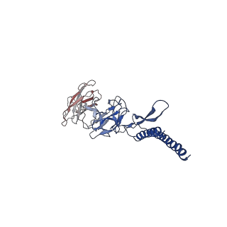 31006_7e80_DD_v1-3
Cryo-EM structure of the flagellar rod with hook and export apparatus from Salmonella