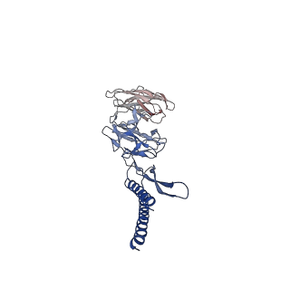 31006_7e80_DE_v1-2
Cryo-EM structure of the flagellar rod with hook and export apparatus from Salmonella