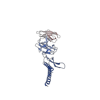 31006_7e80_DE_v1-3
Cryo-EM structure of the flagellar rod with hook and export apparatus from Salmonella