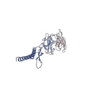 31006_7e80_DF_v1-3
Cryo-EM structure of the flagellar rod with hook and export apparatus from Salmonella