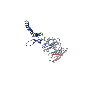 31006_7e80_DG_v1-2
Cryo-EM structure of the flagellar rod with hook and export apparatus from Salmonella